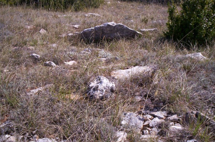 Click for the gallery page to add comments and vote (PID:69238) Dolmen de la Roque (08)