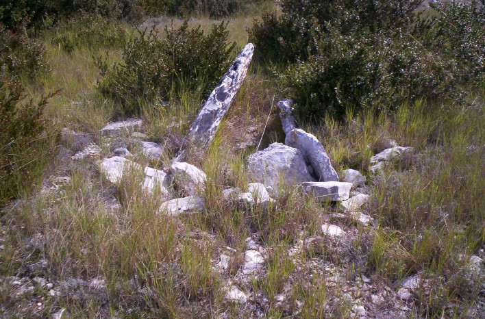 Dolmen de la Roque (16)