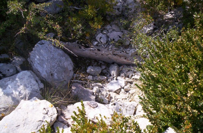 Dolmen de la Roque (01)