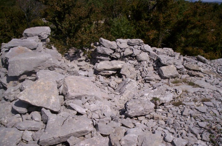 Click for the gallery page to add comments and vote (PID:69412) Dolmen de la Roque (06)