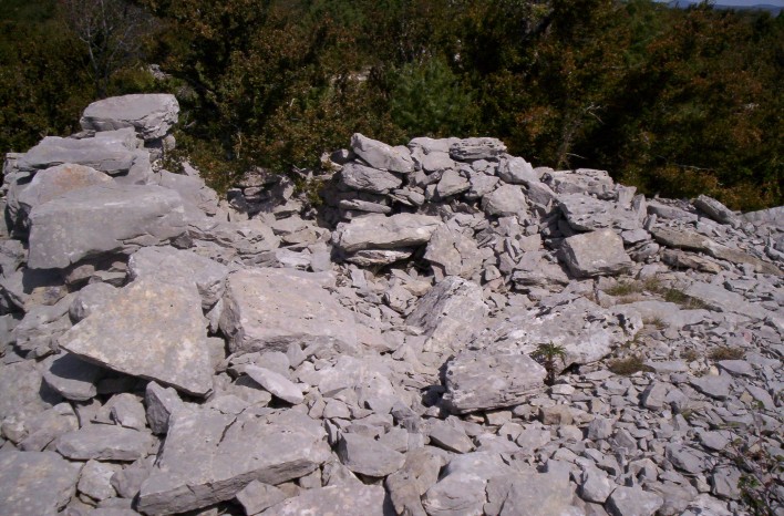 Dolmen de la Roque (06)