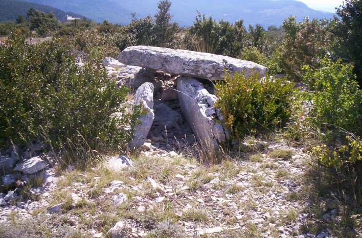 Dolmen de la Roque (17)