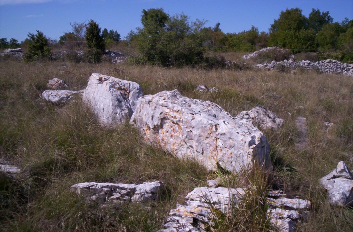 Menhir d'Angles