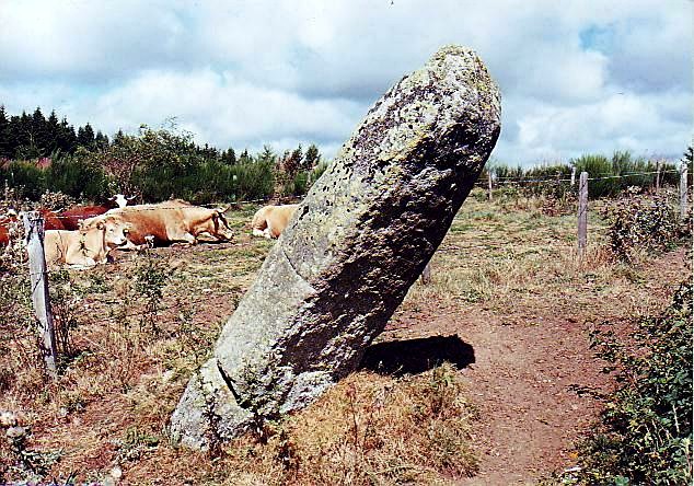 Menhir dit la Pierre Plantée (Allenc)