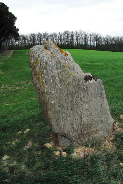 Menhir des Rivals
