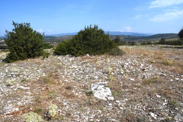 Tumulus Pas de Pertus 3. La pierre au sol faisait sans doute partie du site. SORBS :Hérault (34) France