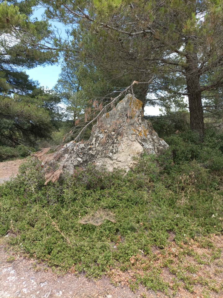 Menhir dit la Pierre Droite (Villeneuve-Minervois)