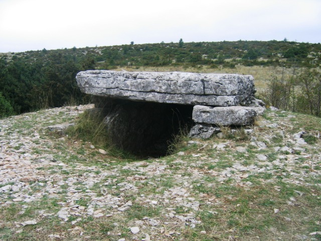 Dolmen dit la Pierre Plate (Florac)