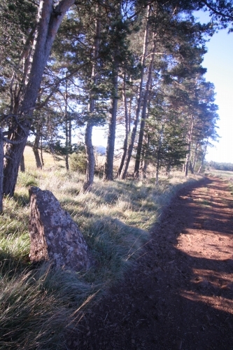 Click for the gallery page to add comments and vote (PID:68039) Menhir de la Fage A08