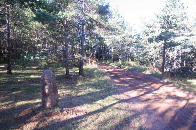 Click for the gallery page to add comments and vote (PID:68042) Menhir de la Fage A05