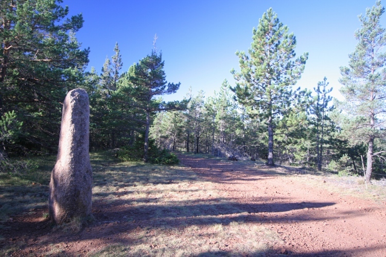 Click for the gallery page to add comments and vote (PID:68043) Menhir de la Fage A04