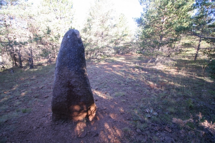 Click for the gallery page to add comments and vote (PID:68044) Menhir de la Fage A03
