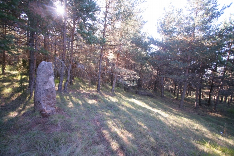 Click for the gallery page to add comments and vote (PID:68045) Menhir de la Fage A02