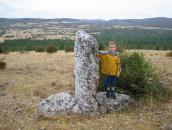 Click for the gallery page to add comments and vote (PID:19828) Viala menhir