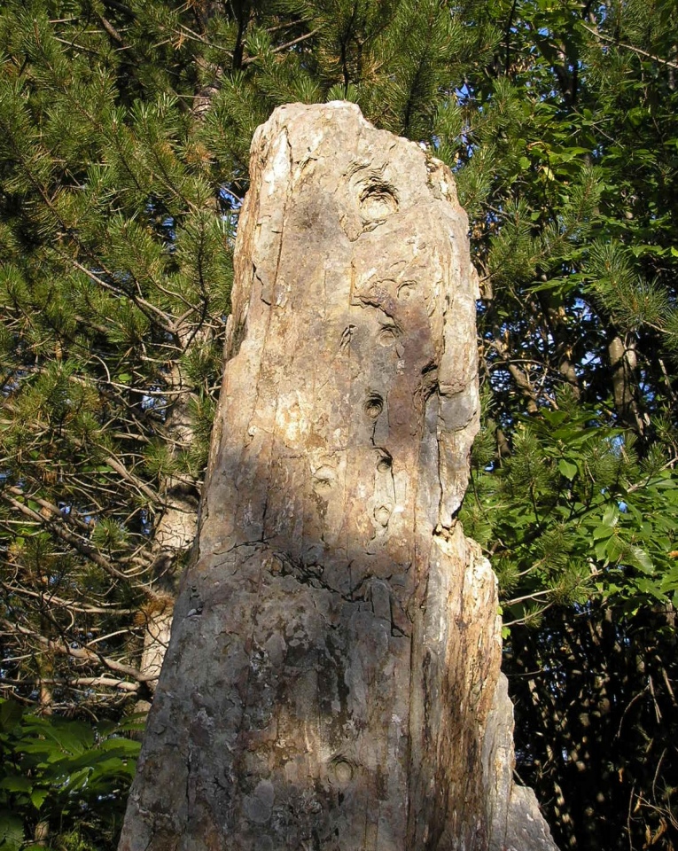 Rougeiresque menhir