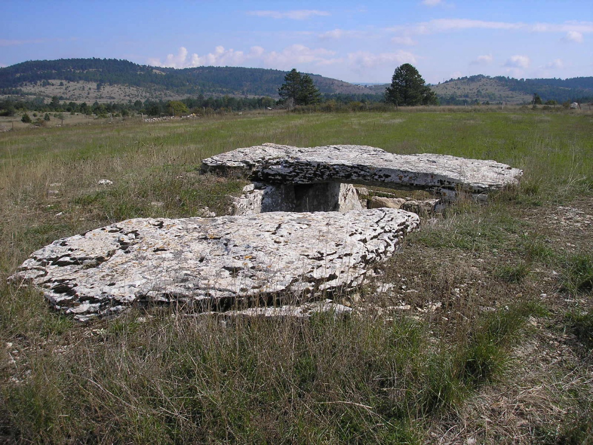 La Baraque de l'Estrade 