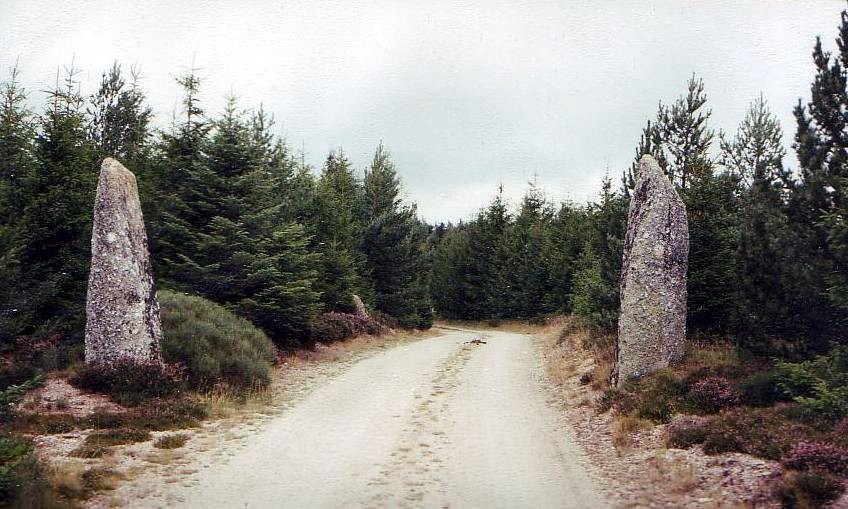 Menhir du Plot de la Fage 2