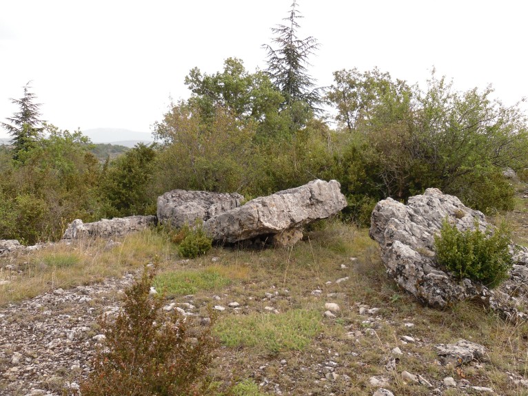 Menhir Travers des Noyers 1