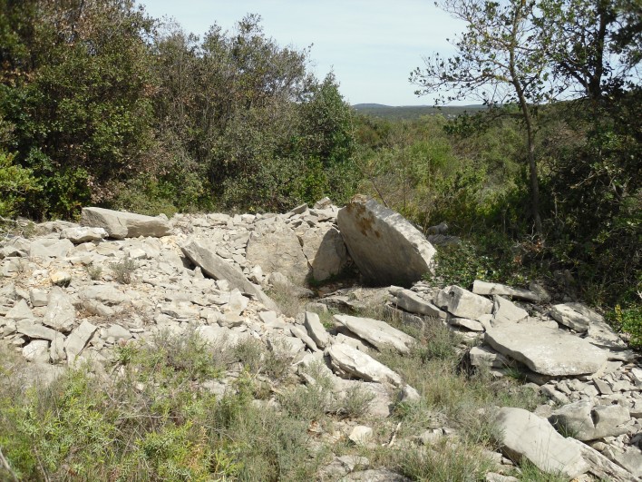 Dolmen des Avinens