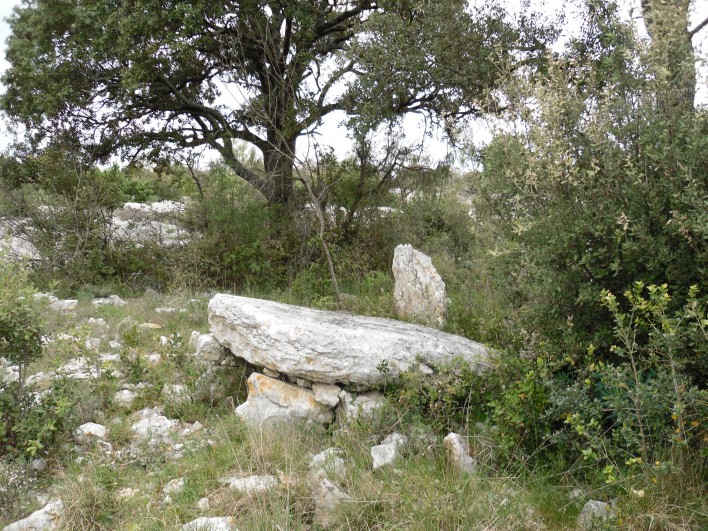 Dolmen Bergerie de Lamalou-2
