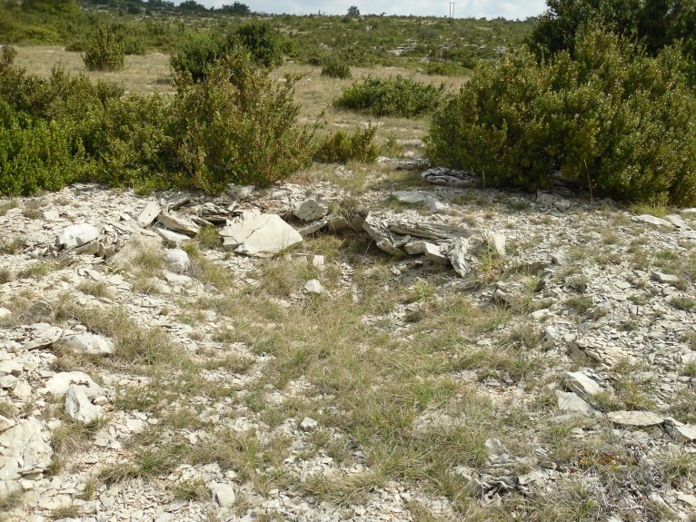 Puech Fulcran Dolmen