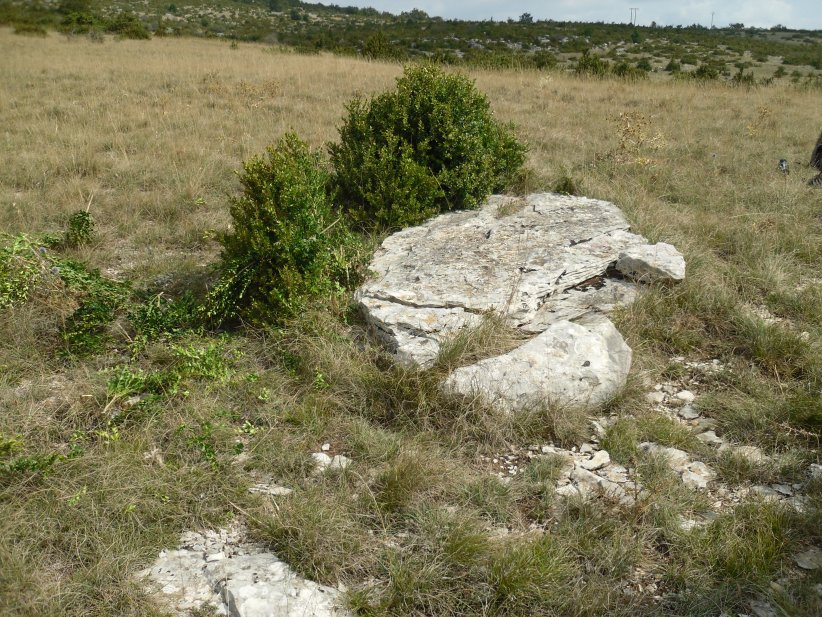 Menhir Saut du Lièvre
