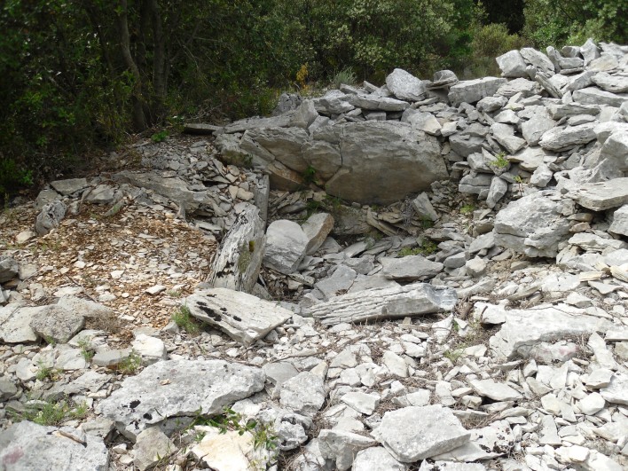 Dolmen Bois des Fontanilles