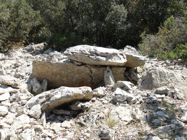 Click for the gallery page to add comments and vote (PID:78018) Dolmen de Maupas