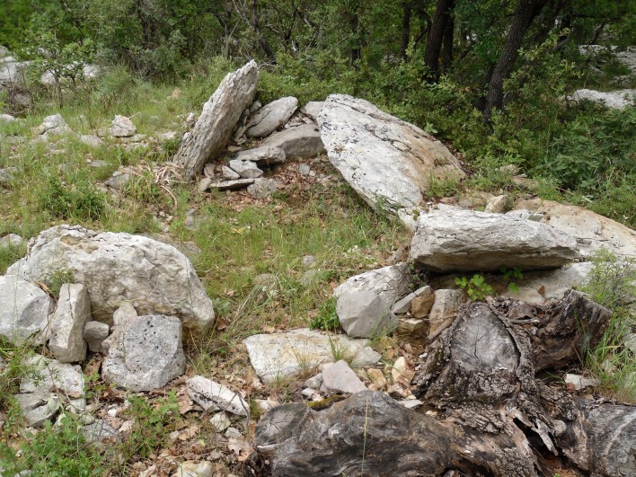 Click for the gallery page to add comments and vote (PID:80284) Dolmen Bergerie de l'Hortus