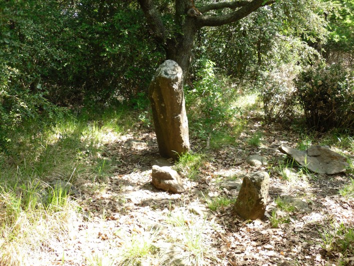 Click for the gallery page to add comments and vote (PID:80283) Menhirs de Lacade