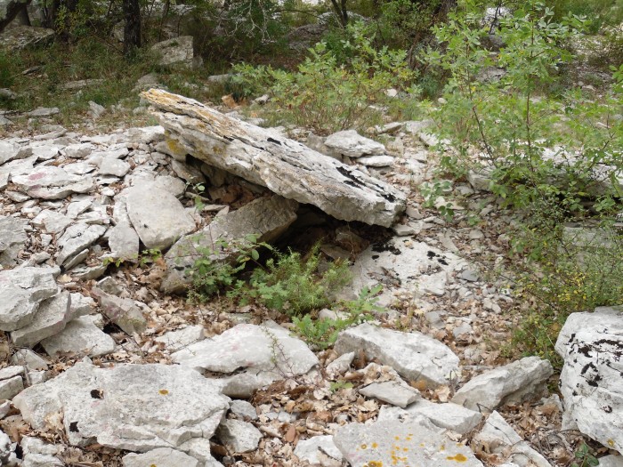 Feuilles Dolmen 3