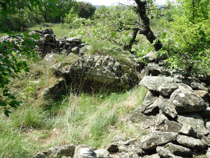 Click for the gallery page to add comments and vote (PID:80276) Dolmen dit de Toucou 4