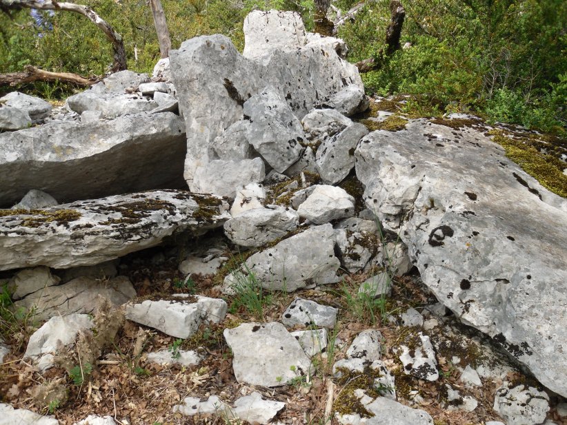Click for the gallery page to add comments and vote (PID:145360) Dolmen de la Vernède 4