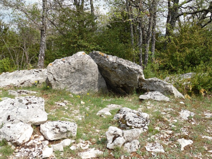 Dolmen de Montsaloux 1