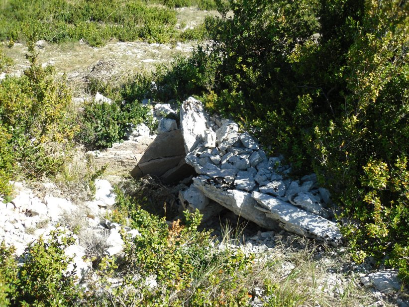 Dolmen Mas de Bedos 1
