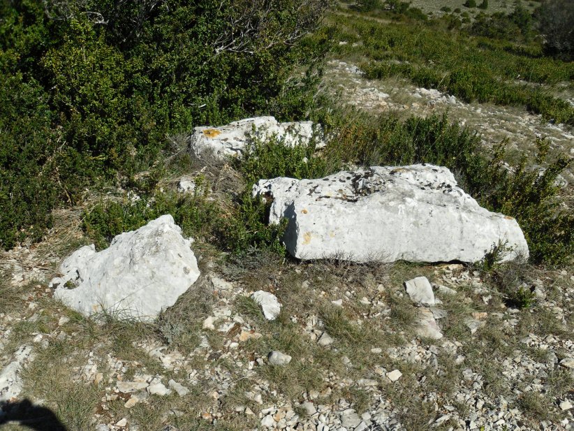 Menhir Lous Candelliès