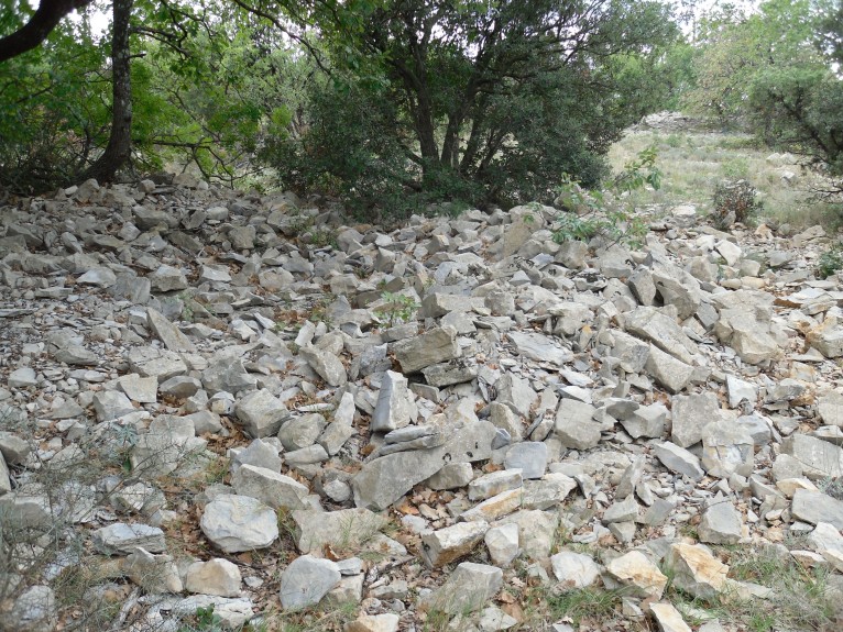Dolmen de Sauzet 1