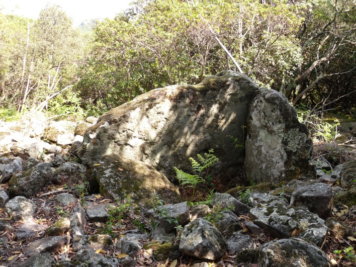 Click for the gallery page to add comments and vote (PID:78656) Dolmen de l'Olivier