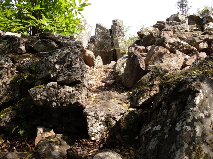 Grand Dolmen de l'Olivier