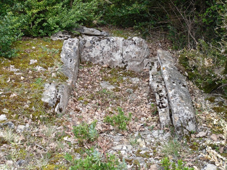 Click for the gallery page to add comments and vote (PID:117229) Dolmen du Viala 2