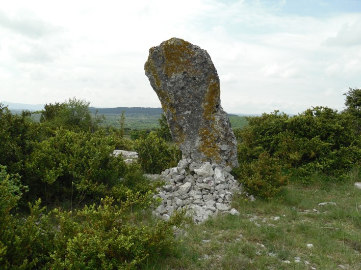 Click for full size image of Menhir de Landre 1 (PID:78224) Menhir de Landre 1