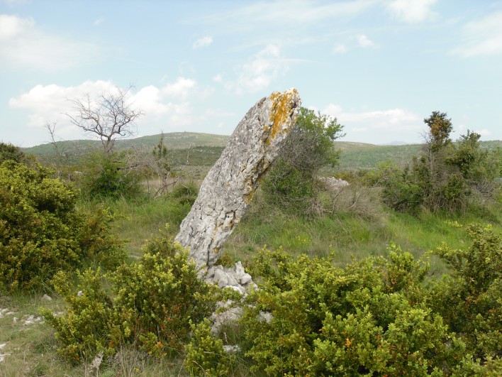 Click for full size image of Menhir de Landre 1 (PID:78225) Menhir de Landre 1