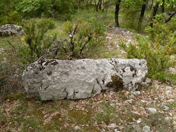 Click for the gallery page to add comments and vote (PID:78223) Caucalière menhir