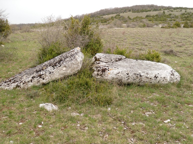 Vernède menhir 2