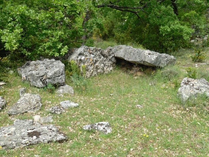 Click for the gallery page to add comments and vote (PID:78221) Dolmen de la Caucalière