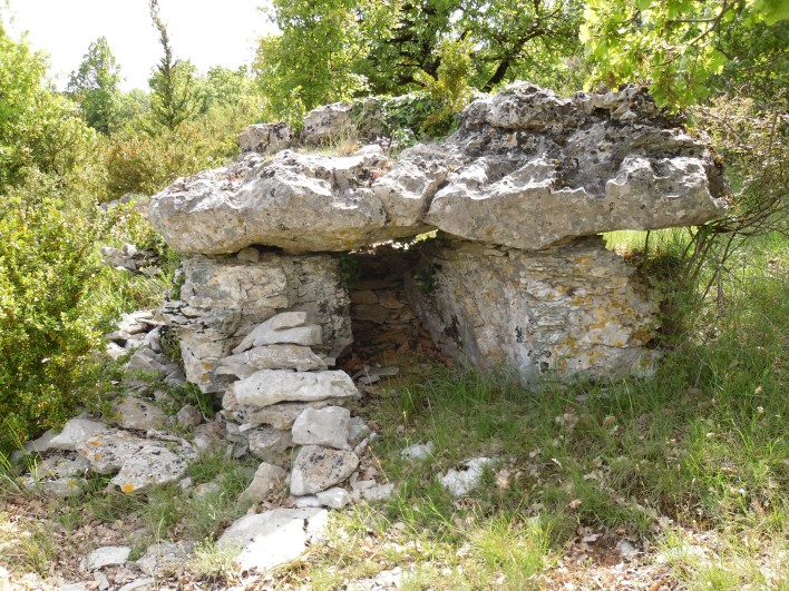 Click for the gallery page to add comments and vote (PID:78179) Dolmen de la Borie d'Arre 1