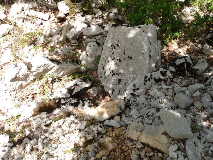 Click for the gallery page to add comments and vote (PID:129233) Dolmen de la Bergerie du Coulet