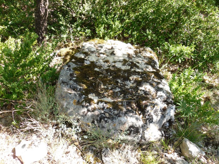 Menhir de Ferrussac 1