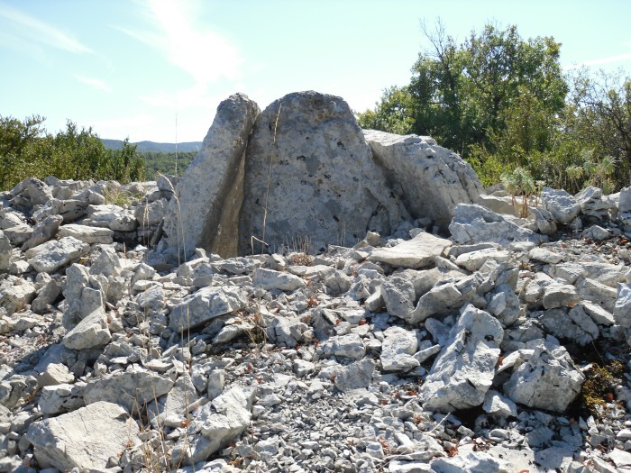 Dolmen du Rancas 1