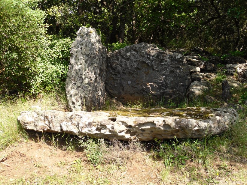 Click for the gallery page to add comments and vote (PID:115417) Dolmen de Peyreficade